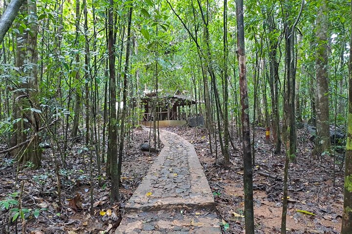 Rainforest Dining Area